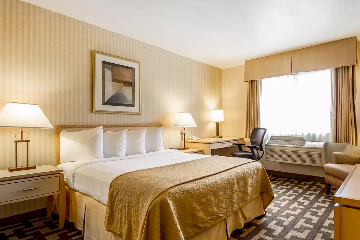 Petaluma Lodging With Free Wi Fi Quality Inn Petaluma Sonoma   Best Hotels In Petaluma Ca 1.1200x800 